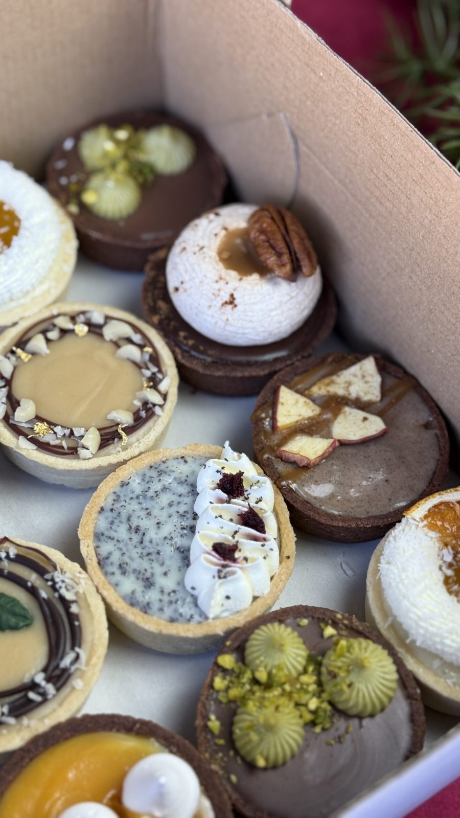 Tartaletkova promo 1